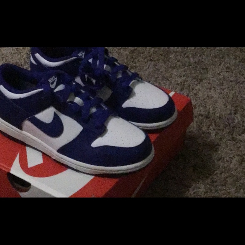 Nike Kids Low Dunks 🫐